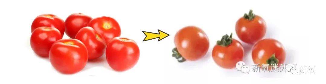 技术从雪碧代言看吸脂的前世今生