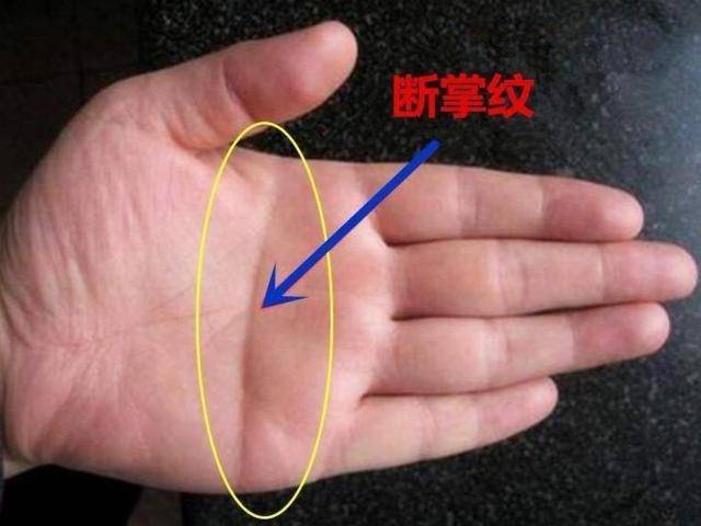 从古至今普遍认同的掌纹中有五大线纹,分别是三条横向平行的生命线