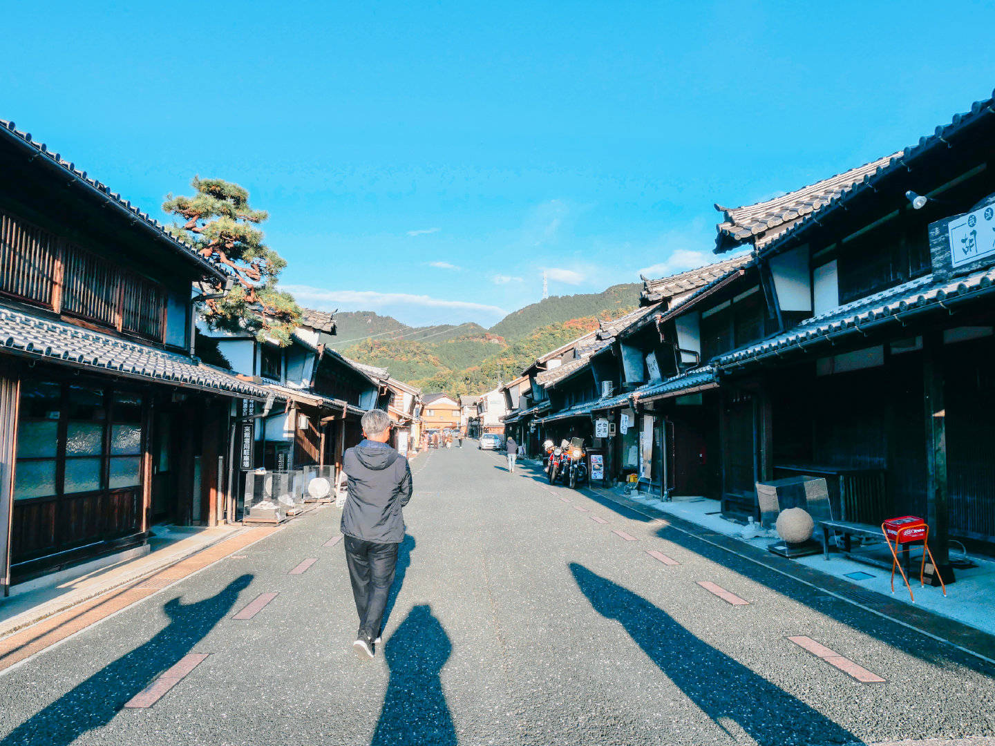 白川乡|这个春季带上周游券，与中部日本来个不期之遇