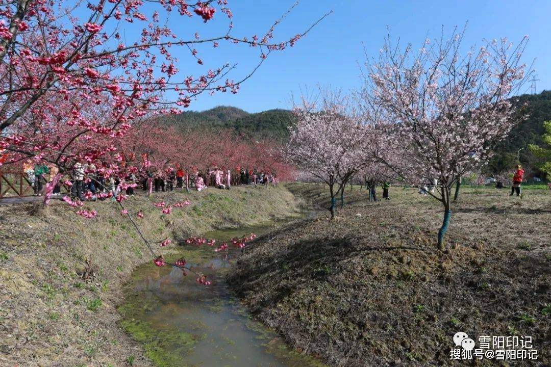 七星村,地處湘潭市東北角,屬嶽塘區昭山鎮,位於長株潭城市群中心