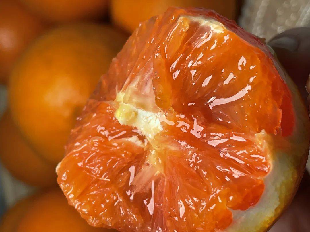 辰颐物语橙中贵族卡拉红肉脐橙只有1的人吃过的橙子果肉比玛瑙还漂亮