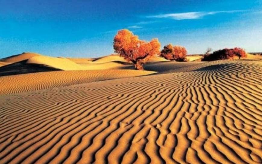 新疆沙漠的沙子到底有多厚呢？说出来你都不一定会相信，涨见识了
