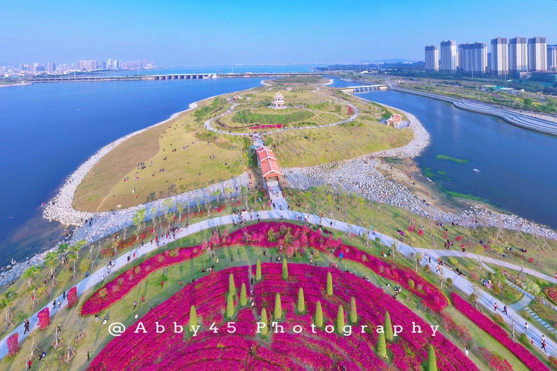 马銮湾|厦门春游又添好去处，有28个足球场大的免费公园，三角梅花开成海