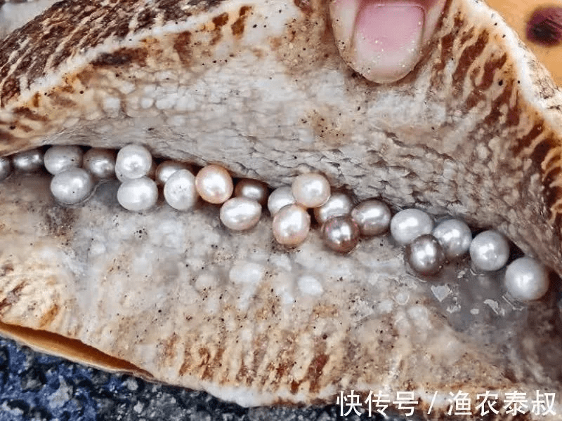 源生珠宝_米莉_珍珠_法律