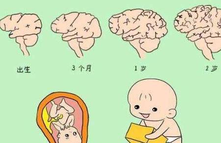 0-3岁促进宝宝大脑发育的亲子游戏，家长不陪宝宝做太可惜了！