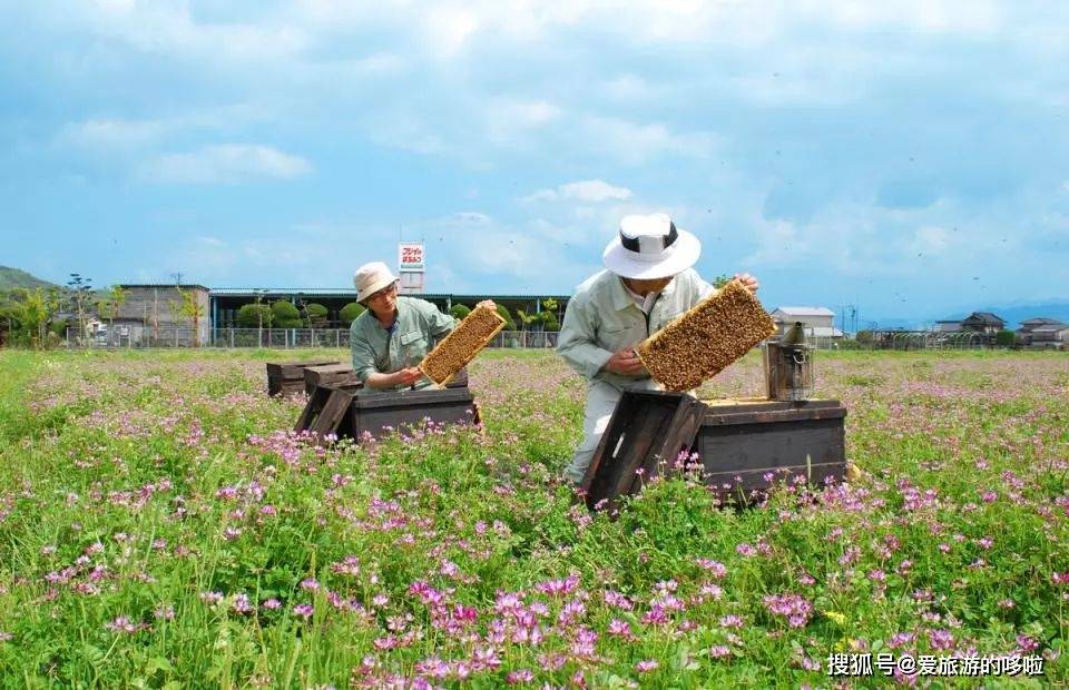 来日本玩只知道迪士尼就OUT了！这些免费参观的工厂等你来体验