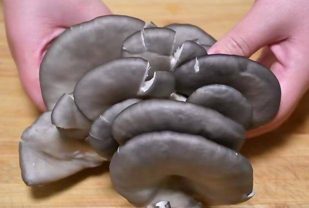 做法|炸蘑菇的好吃做法，比锅巴还香脆，营养美味，不错的家中小零食