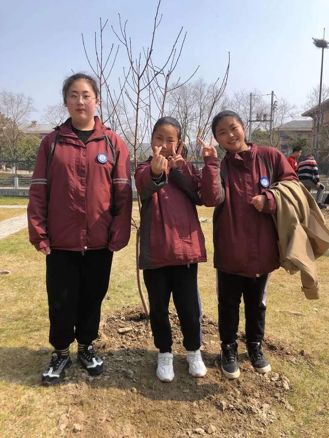 北师大盐城附校行动起来人人都是绿色使者