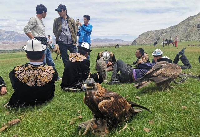 原創文藝新疆唐代壁畫中的獵鷹傳統與西天山獵鷹之鄉的人文遺產