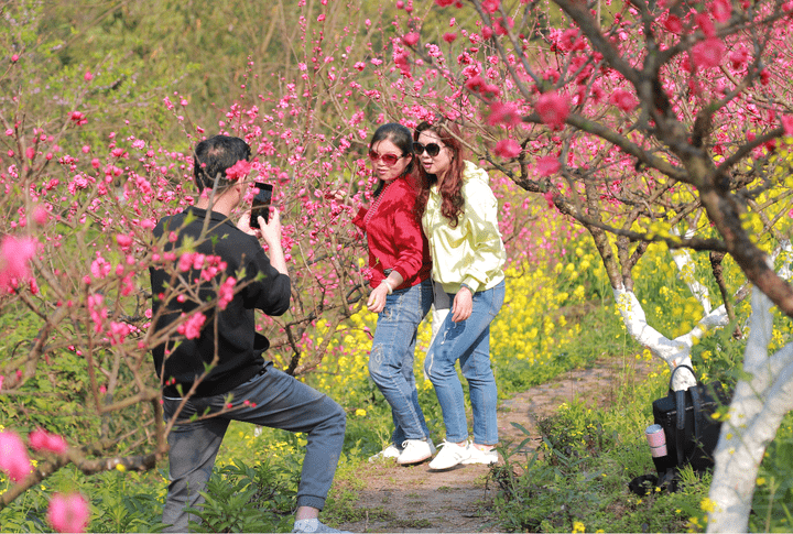 乡村|产业转型，延长产业链条，赏花游升级—— “赏花经济”美了乡村富了农民