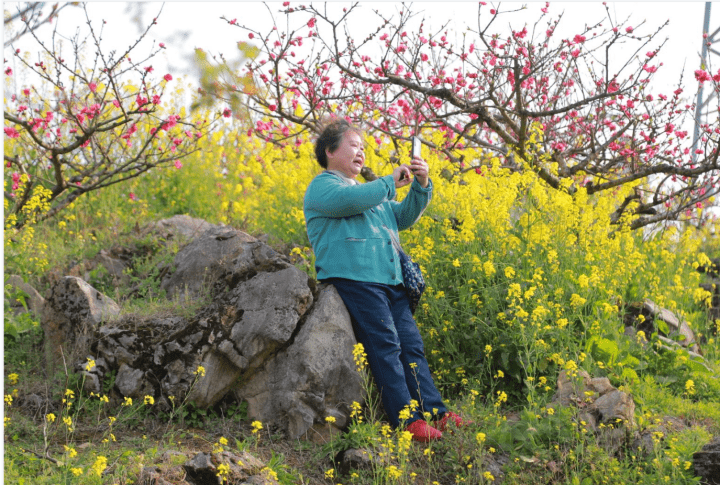 乡村|产业转型，延长产业链条，赏花游升级—— “赏花经济”美了乡村富了农民