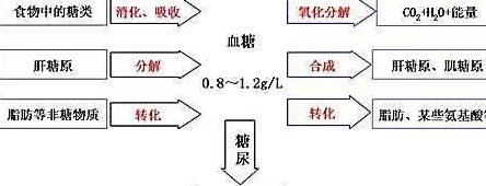 空腹|血糖高就一定是糖尿病吗？