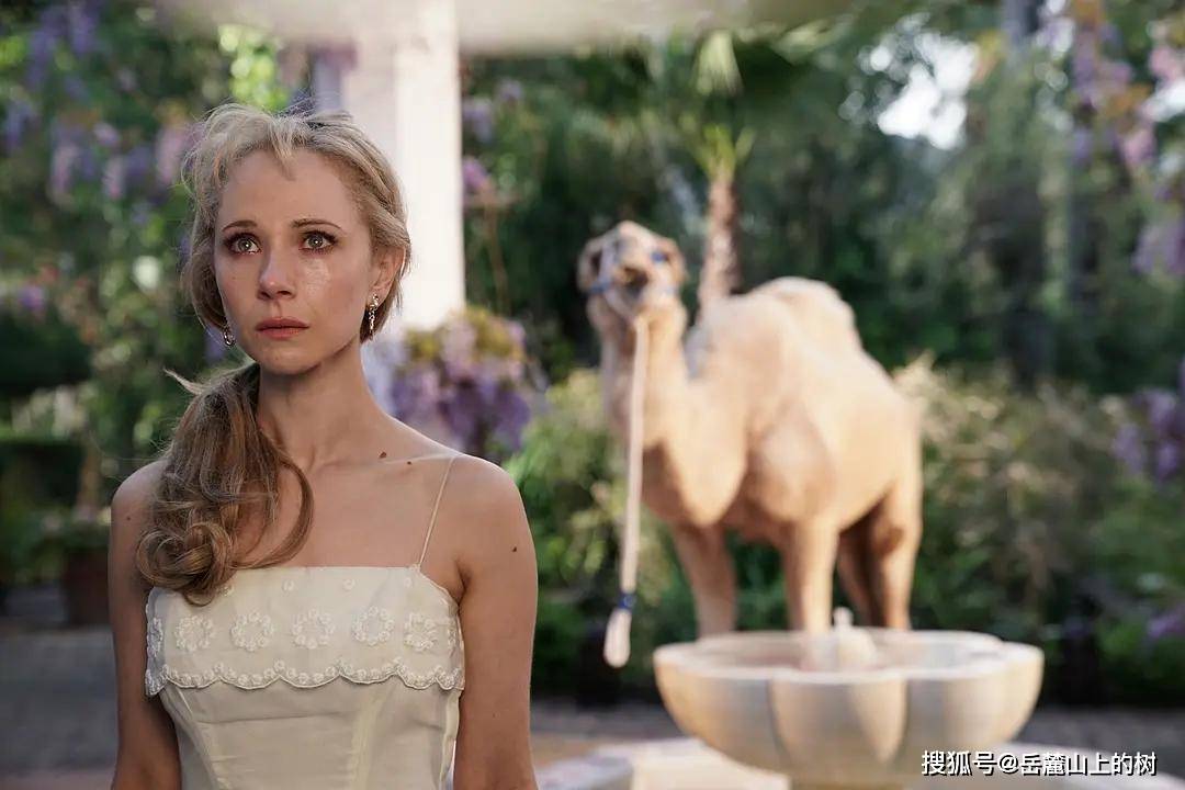 上流社会|《小鸟们》：比预期更有看头的英剧