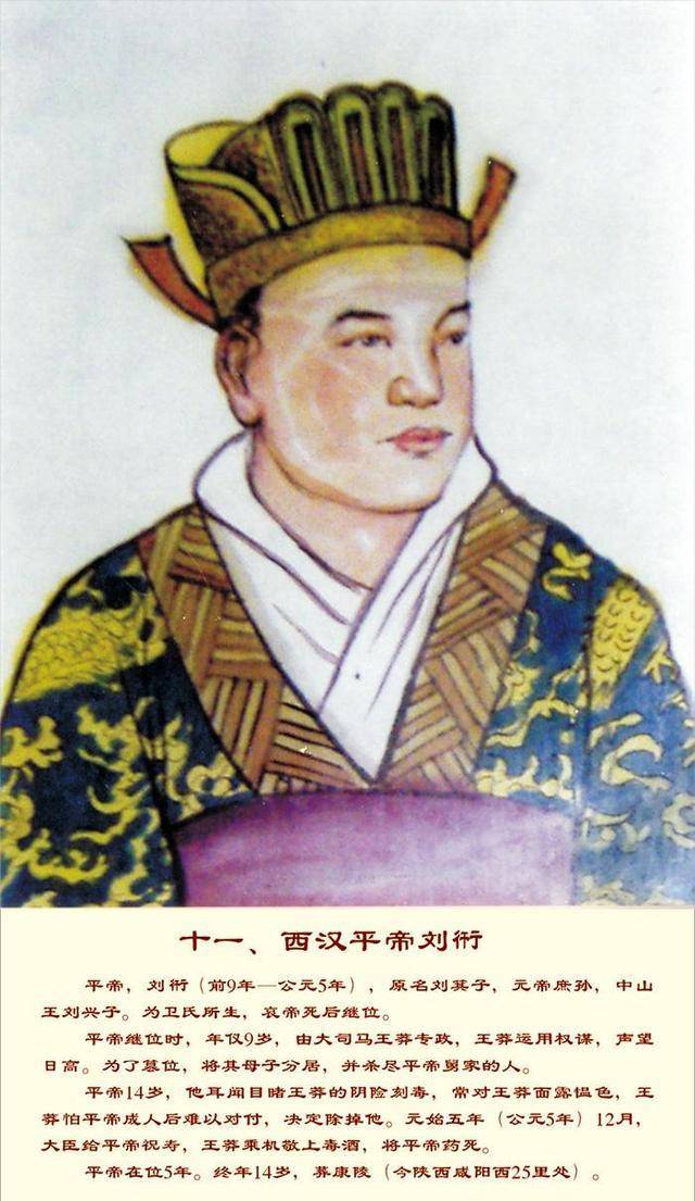 那些没有儿子的汉朝皇帝汉哀帝刘欣