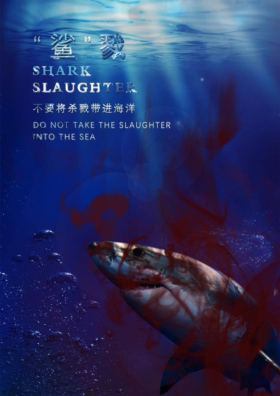 被割掉鱼翅的鲨鱼,放回海中还能活多久?为何人类不吃鲨鱼肉?