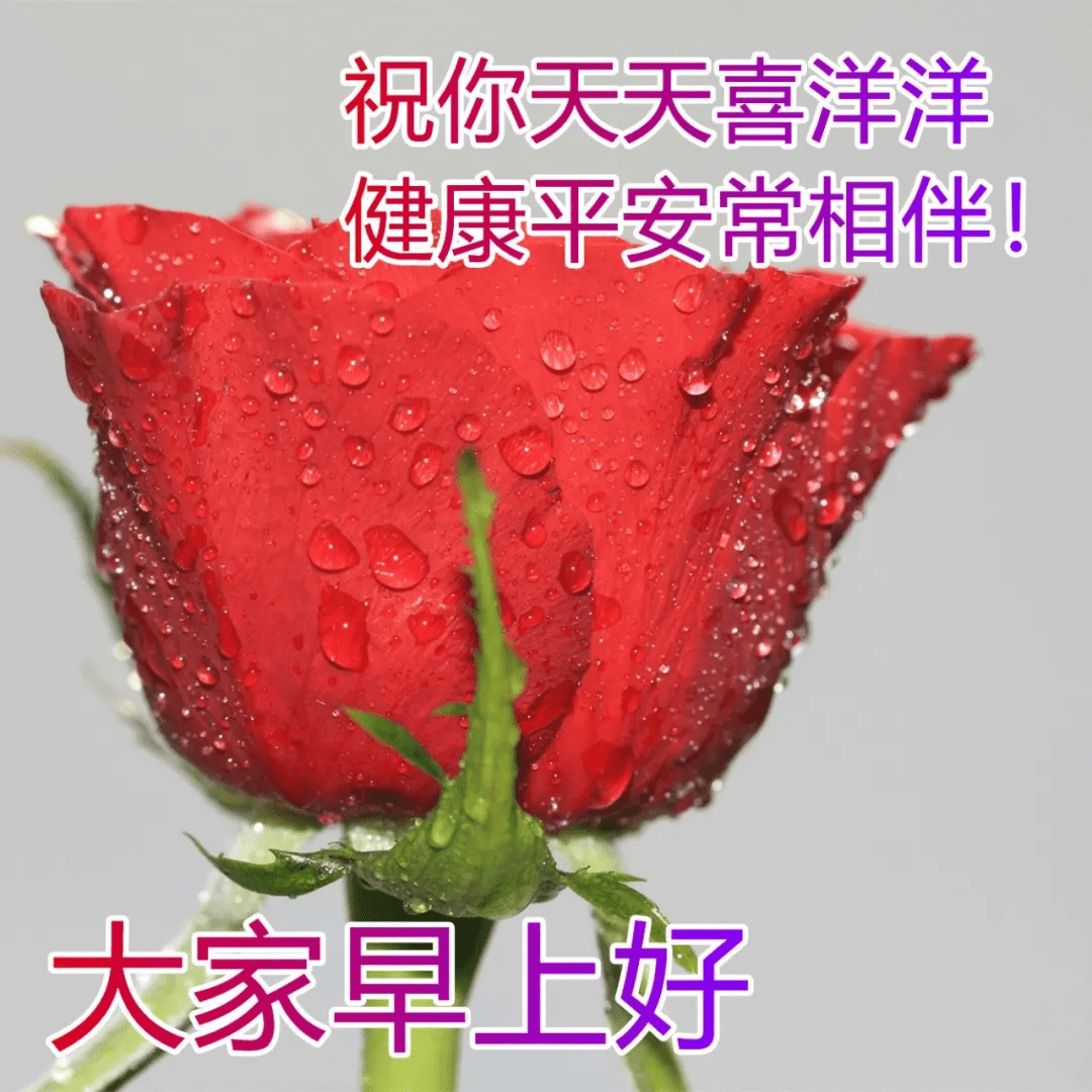 原創很暖很漂亮的早上好祝福圖片美好幸福的早安動態表情包