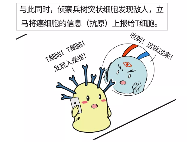 趁早儲存免疫細胞3道防線為你的健康充滿電