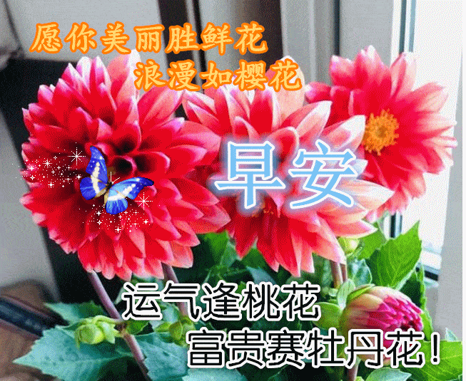 原创唯美的早上好问候语图片带字愿你不用颠沛流离也能遇到陪伴