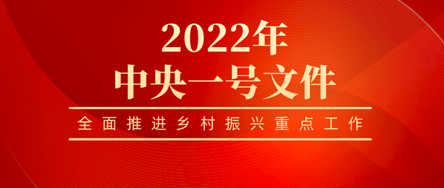 农村集体产权制度改革档案案例,看畅飞扬档案数字化加工解决方案