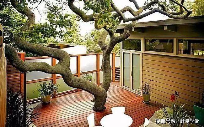 庭院植树风水有什么讲究?_树木_住宅_种植