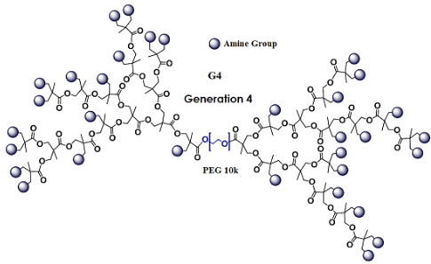 amine peg链两端有两个超支化树状楔氨基基团