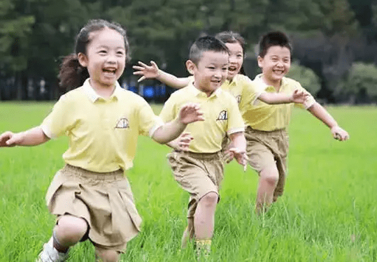 幼儿园|孩子上一年级后我才发现，公立和私立幼儿园的区别，希望你别选错