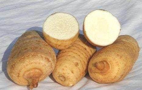 不要丢掉,虽然长得像土豆,作用却堪比灵芝_天麻_市场_中药材