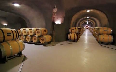 进行|您的酒窖至关重要:酒窖建设注意事项