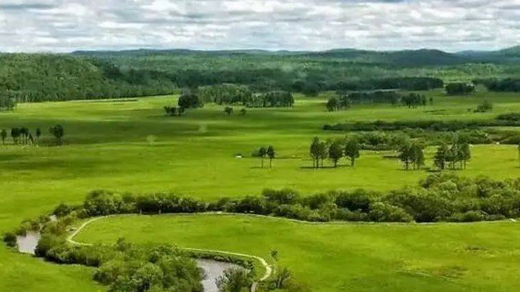 草原碳汇成热点话题