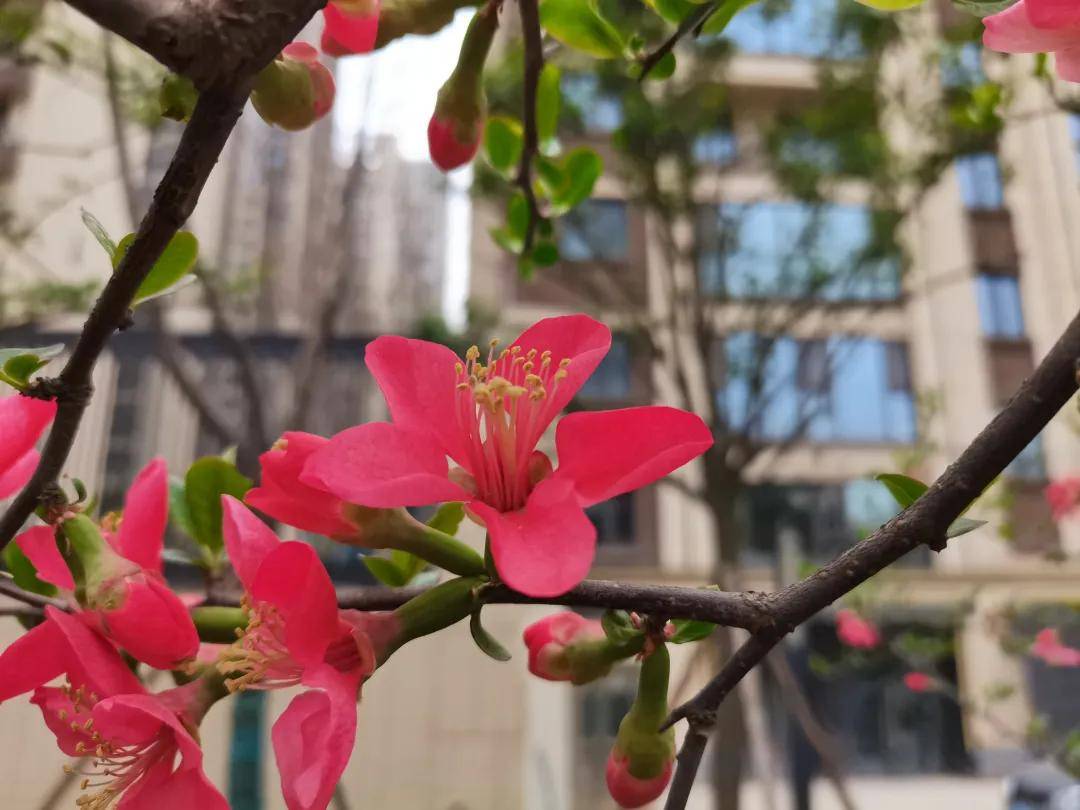 服务|我们等来了春暖花开，也必将等到疫情散去！