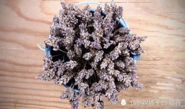 风水|有损财运的风水物品！赶紧扔掉