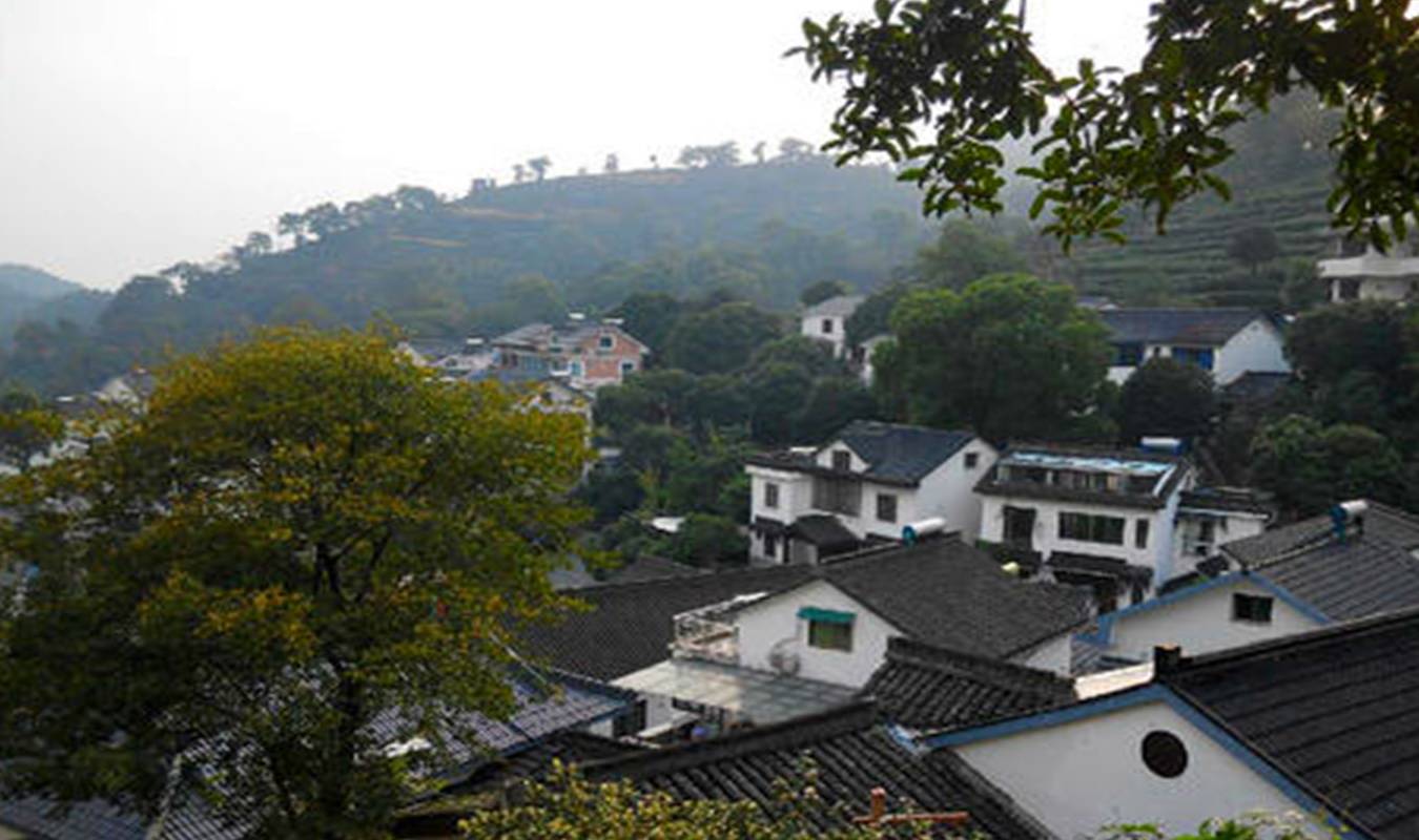杭州一个景色优美的小村落，依山而建，是狮峰龙井茶的主产地之一