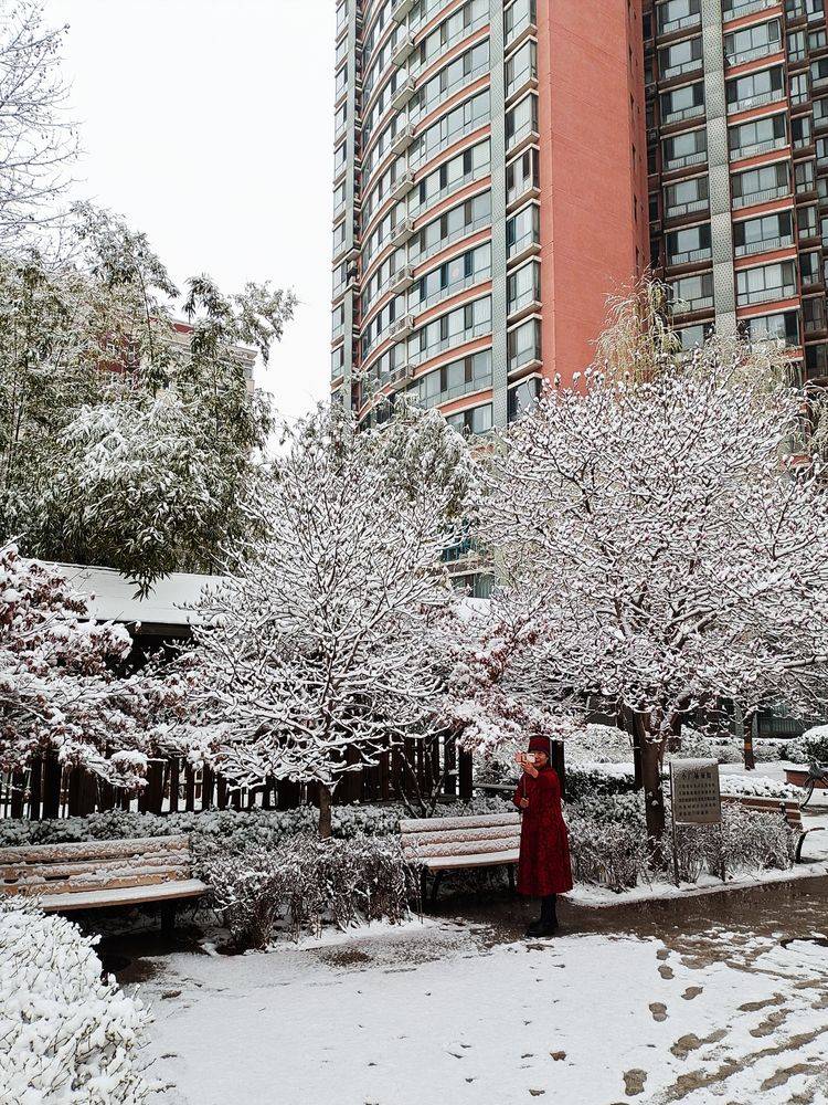 下集|一场雪，让这里的春天真美