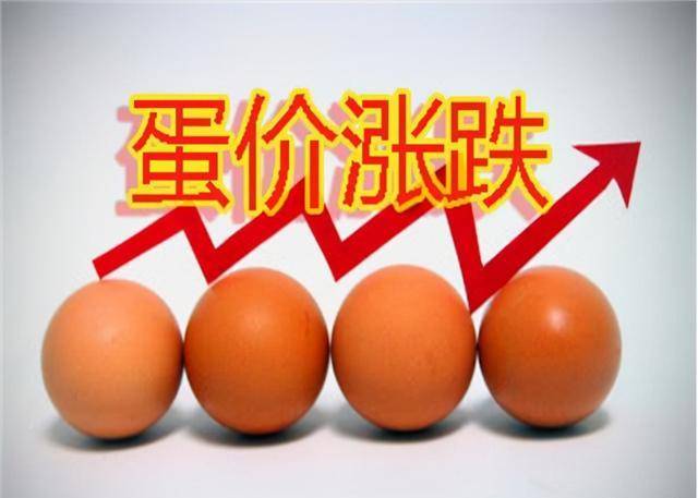 养殖业|3月15日,鸡蛋、牛、羊价格突变,猪价风险来了,养殖业发生了啥