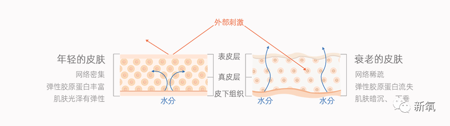 因为怎么看自己衰老到什么程度了？