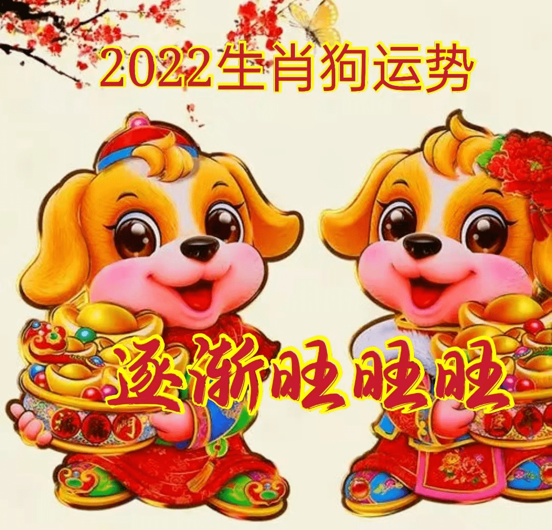 2022年是属什么年金木水火土，2022年是属什么年