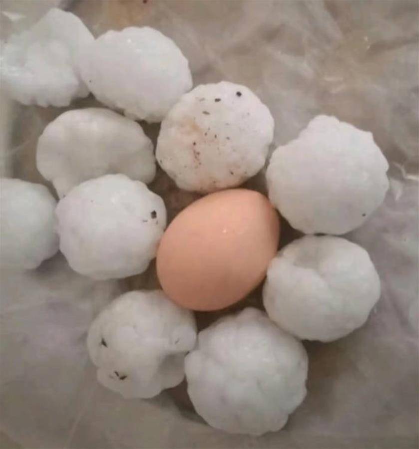 鸡蛋冰雹Q图片