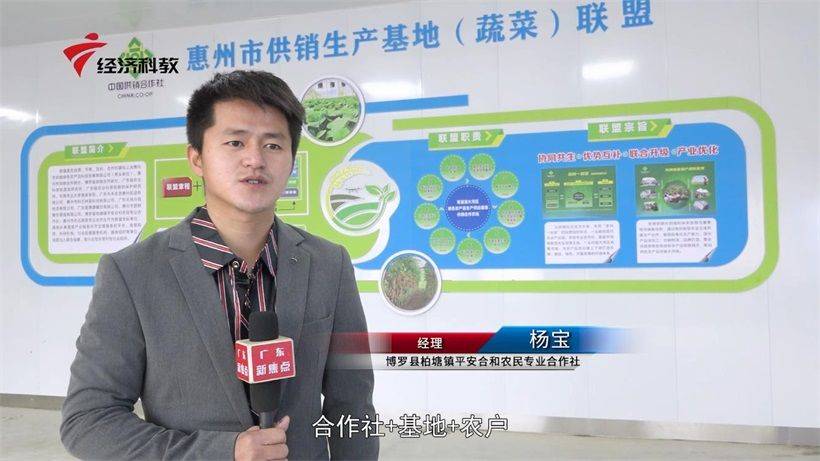 广东新焦点发布广东电视台播出博罗县柏塘镇平安合和农民专业合作社