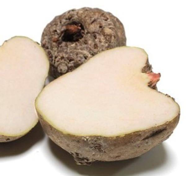 茯苓四种人不能吃早晨 3894435c966848748fcf5ce33fc15dc5.jpeg