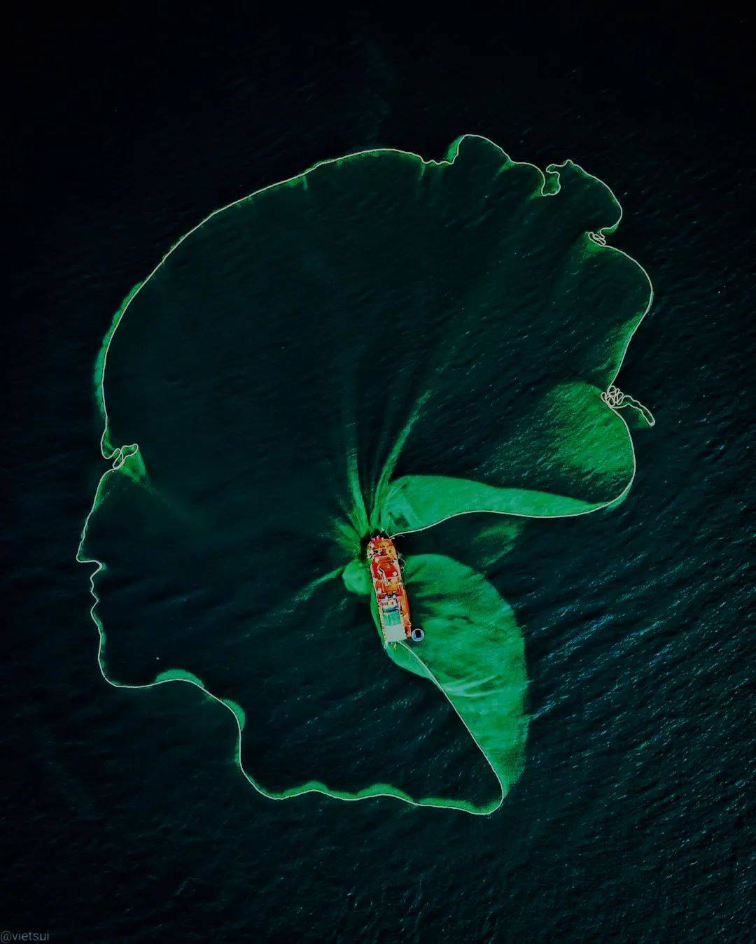 摄影精彩绝伦23幅美国国家地理摄影师的作品欣赏