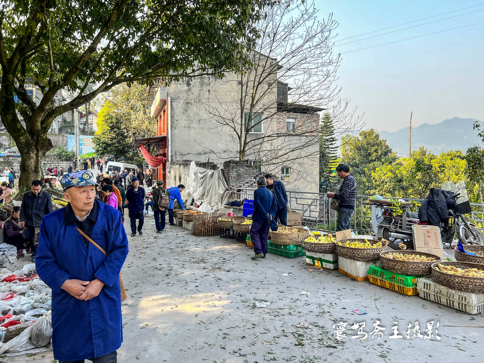 病例|3月9日来北碚静观赶场顺便买树苗，那天重庆没有本土病例集市上很热闹