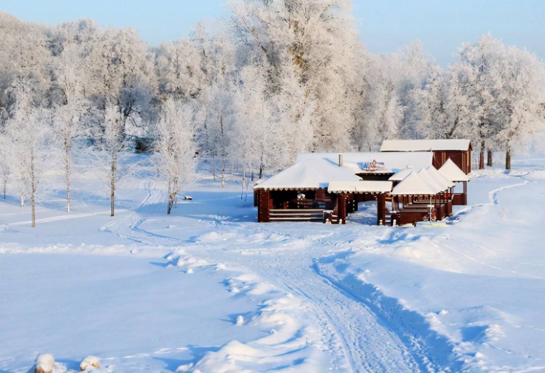 原创俄罗斯流行冬天裸泳零下70多度的环境他们是怎么做到的