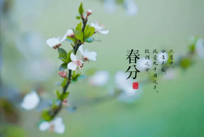 【传统文化】解读节气“春分”‖张振海_历法_历史_天文