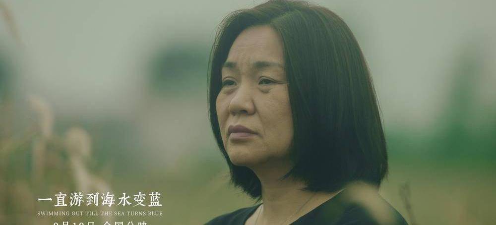 家乡|为什么要一直游到海水变蓝？