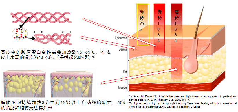 新品上线欢迎赛诺秀抗衰新品5d胶原光上线采美平台