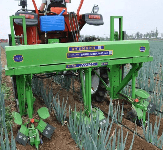 山东青岛平度市:"大葱全程机械化生产模式"入选全国典型案例_种植区