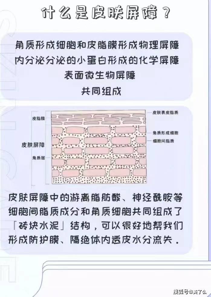 什么??什么为??护肤这么努力，??皮肤皮??还是很差劲？