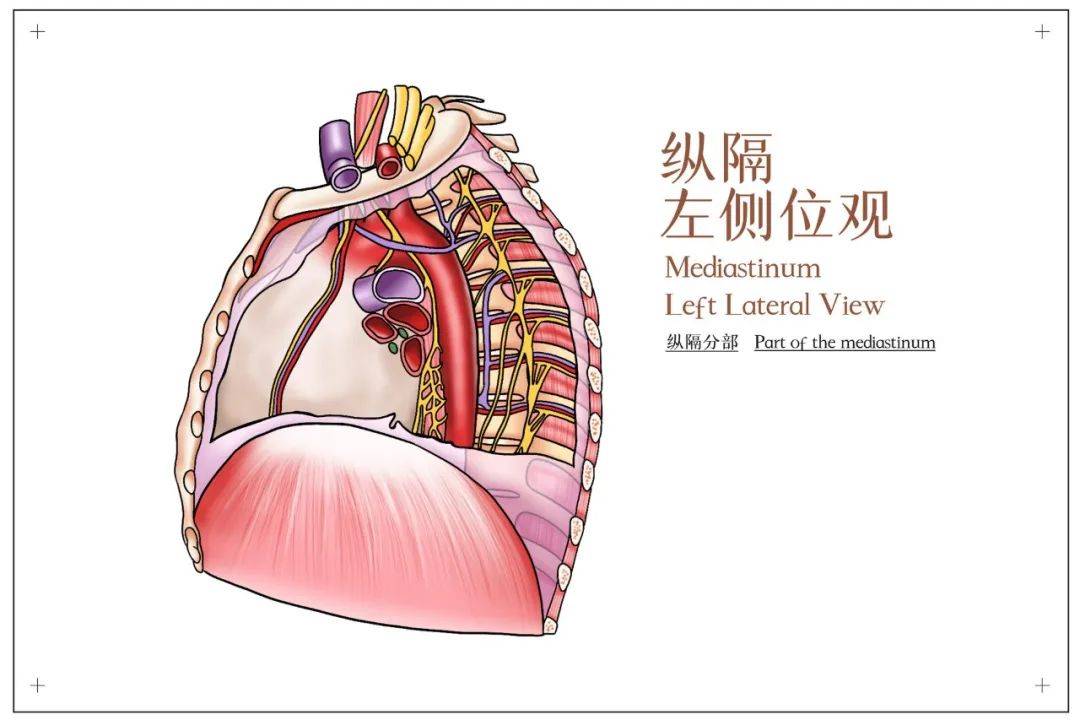 急救魚刺卡喉嚨該怎麼處理