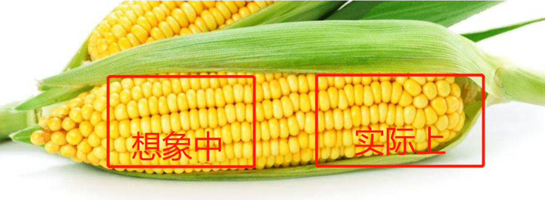 丑点第一批花大钱整牙的人，又「丑」回去了