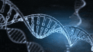 世界生物进化史_世间生物进化_世间进化生物有哪些
